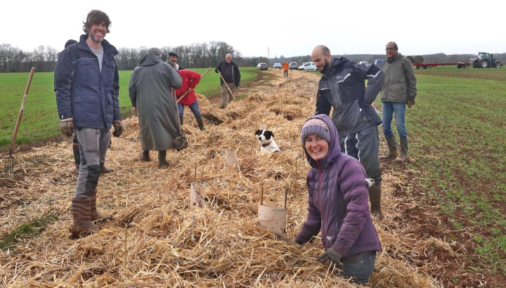 Chantiers de plantation de haies